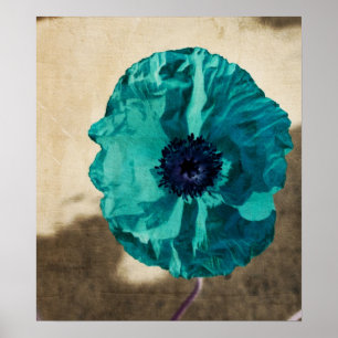 Affiche turquoise de pavot