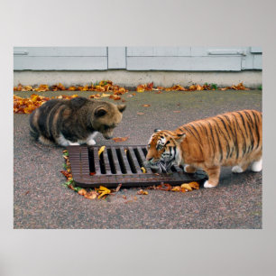 Affiche urbaine de point d'eau