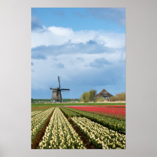 Affiche verticale paysage moulin à vent et tulipes