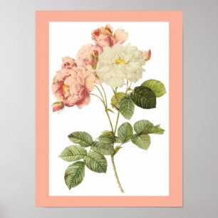 Affiche vintage 2