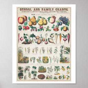 affiche vintage de l'art de la famille Fruit