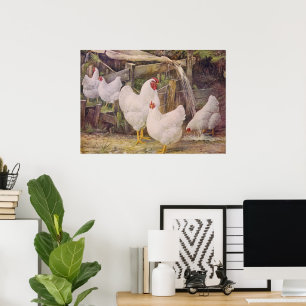 Affiche vintage de poulets de campagne mignonne