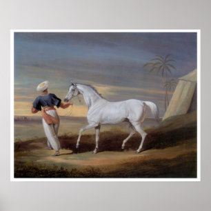 Affiche vintage d'impression d'art de cheval Arabe