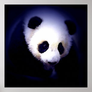 Affiche Visage Panda - Affiches et Impressions de