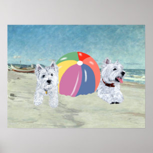 Affiche Westies avec un ballon de plage
