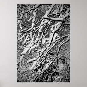 Affiche Winter Wonder - 1