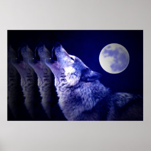 Affiche Wolf Howat at Moon Imprimer - Affiche Wolf