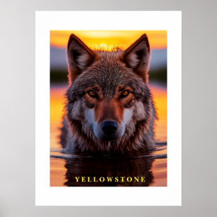 Affiche Yellowstone Wolf