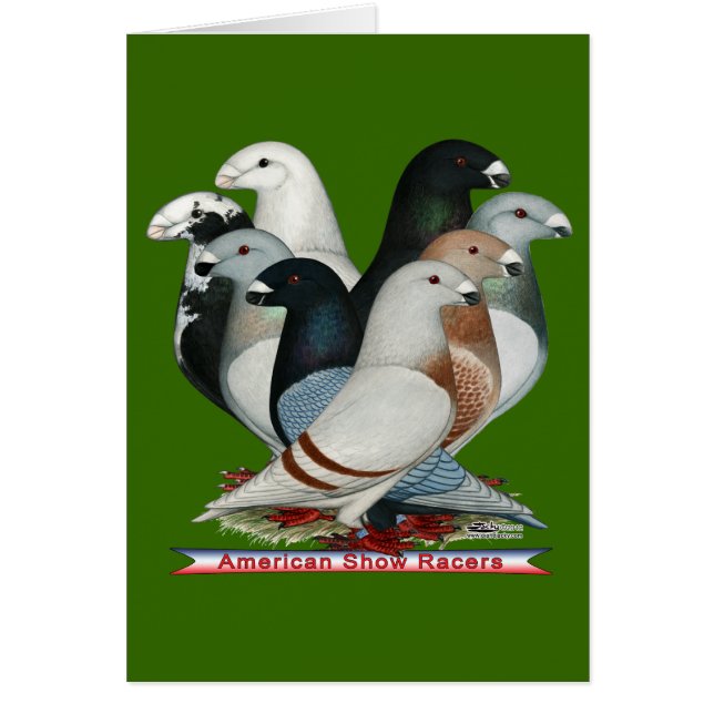 Afficher huit pilotes (Devant)