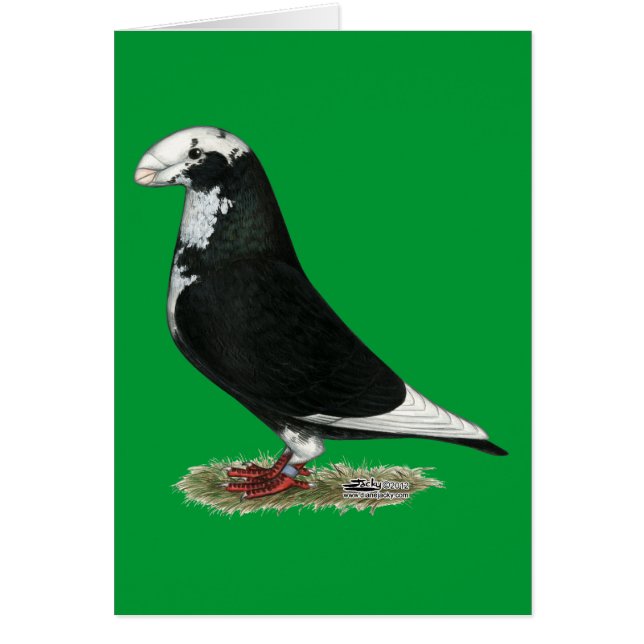 Afficher le tuyau racer (Devant)