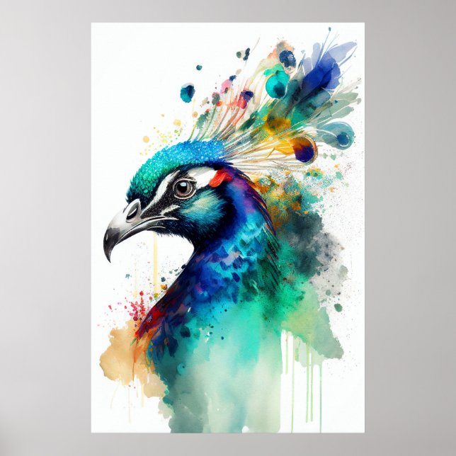 Afficher vos couleurs - Poster Peacock Imprimer (Devant)
