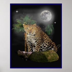 Affiches d'animaux