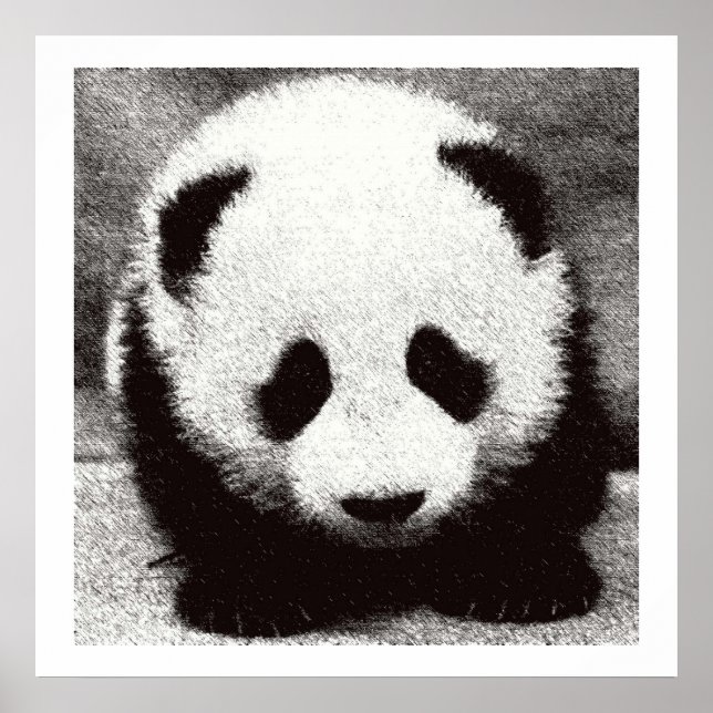 Affiches d'art de bébé panda (Devant)