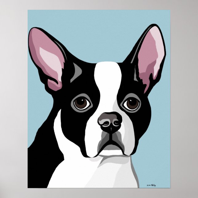 Affiches de Boston Terrier (Devant)