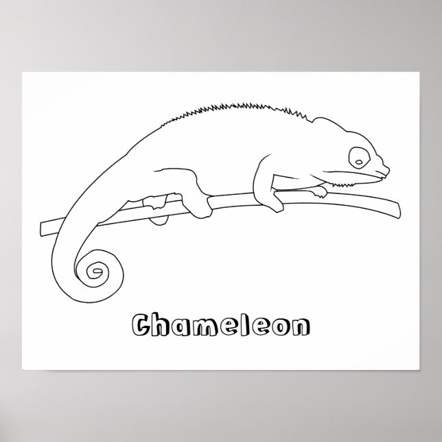 Affiches de dessin de Chameleon (Devant)