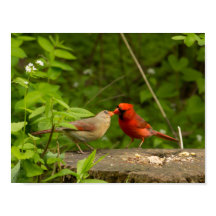 Affiches décoratives