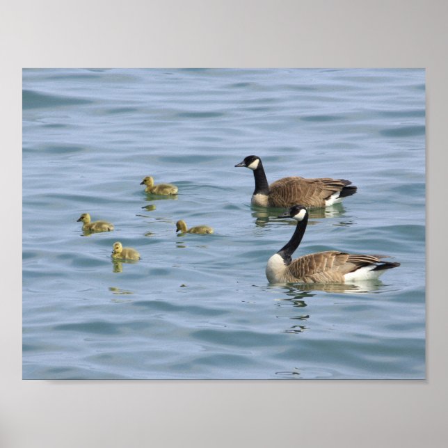 Affiches décoratives (Devant)