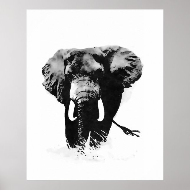 Affiches d'éléphants en noir et blanc (Devant)