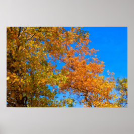 Affiches des couleurs de automne 3