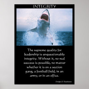 Affiches INTEGRITY