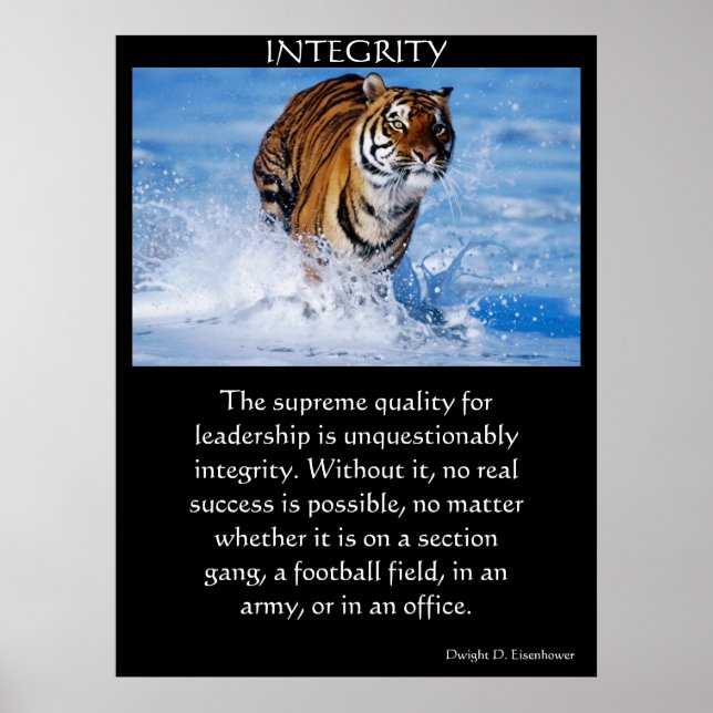 Affiches INTEGRITY (Devant)