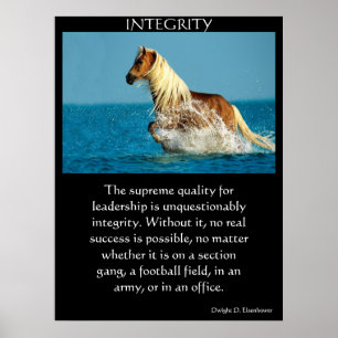 Affiches INTEGRITY
