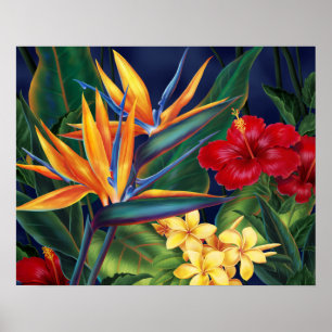 Affiches Paradis Tropical