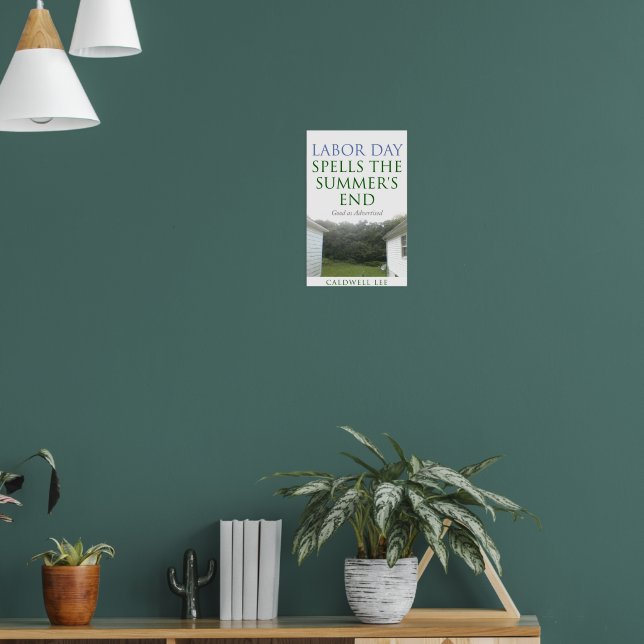 Affiches PCL (Salon 1)