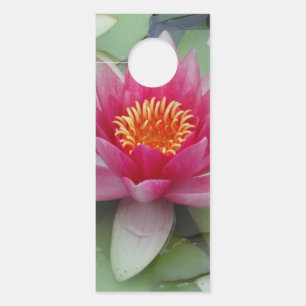 Affichette de porte Lily Lotus Rose