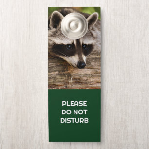 Affichette De Porte Ne pas déranger le raton laveur mignon posé sur un