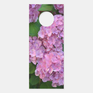 Affichette De Porte Pastel rose Hortensia hydrangea fleurs