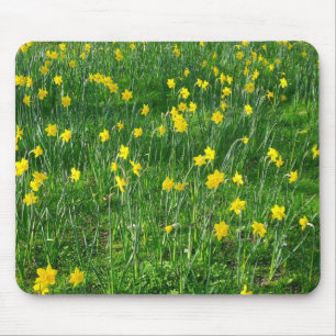 Affodien/Narzisse Mousepad