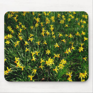 Affodien/Narzisse Mousepad