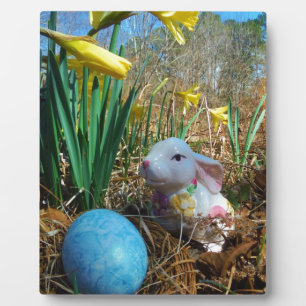 Affodien und Eier aus blauem Oster Fotoplatte