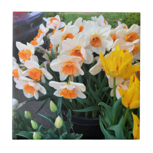 Affodils & Tulips, Oregon Fliese