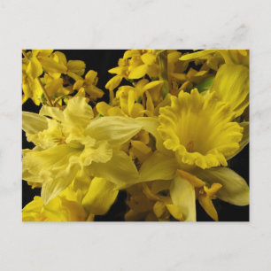Affodils und Forsythia Postkarte