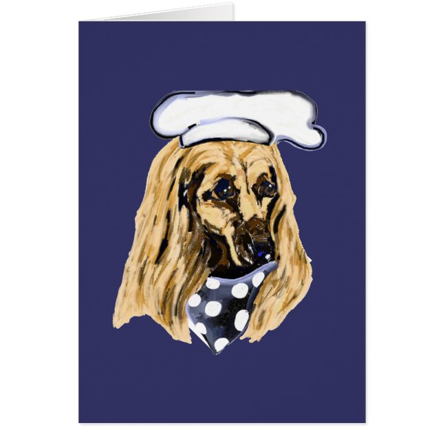 AFGHAN HOUND (Vorne)