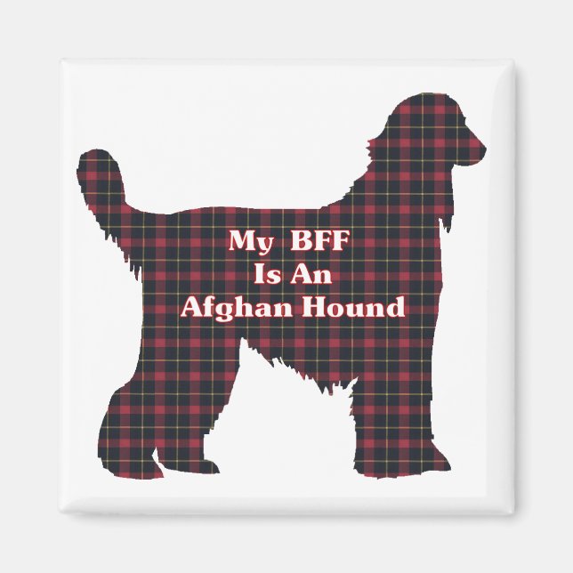 AFGHAN HOUND BESTE FREUNDIN MAGNET (Vorne)