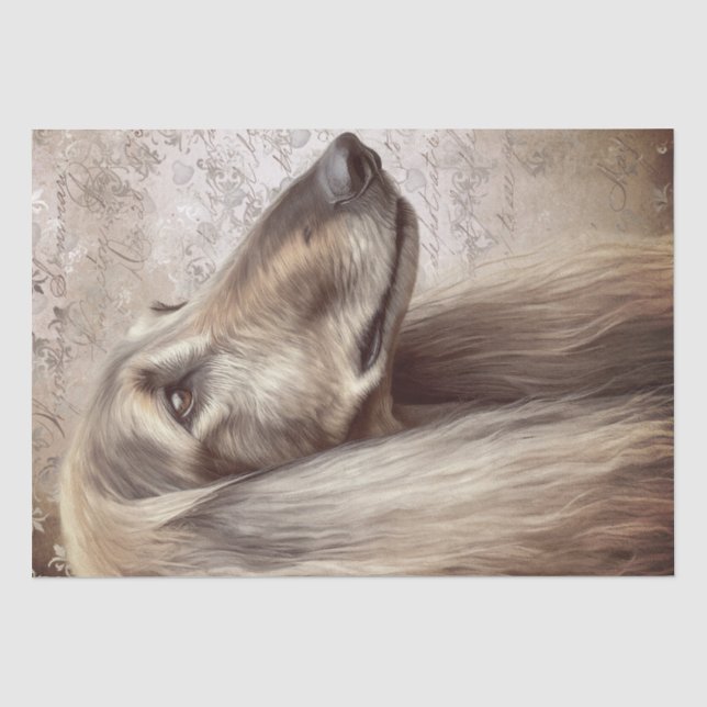 Afghan Hound Dog Seidenpapier (Vorderseite)