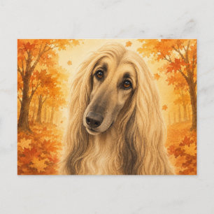 Afghan Hound Herbstwald Hund Postkarte