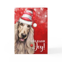 Afghan Hound Hund Entfessle die Freude Weihnachten