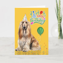 Afghan Hound Hund in einem Partyhut auf gelben Geb