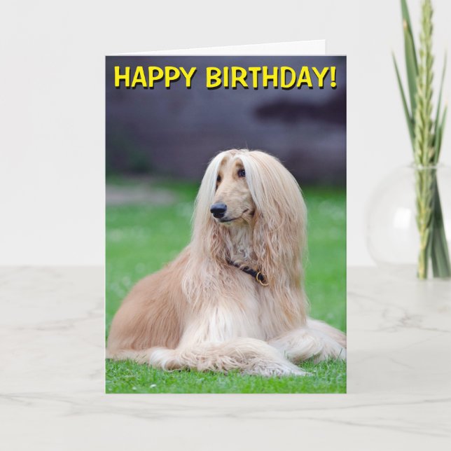 Afghan Hound individuell anpassbare Grusskarte Karte (Vorderseite)
