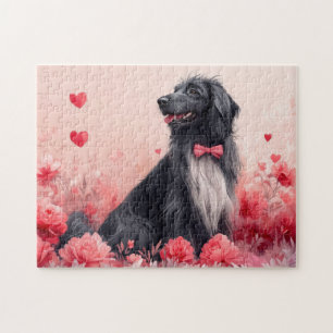 Afghan Hound mit Rosen - Valentinstag