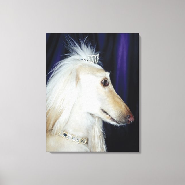 Afghan Hound mit Tiara Leinwanddruck (Vorderseite)