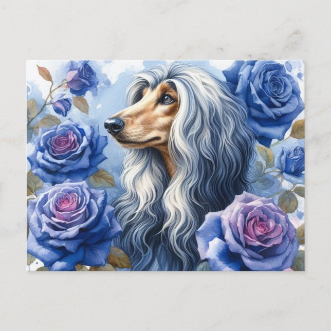 Afghan Hound Postcard Postkarte (Vorderseite)