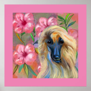 Afghan Hound Poster
