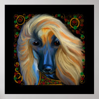 Afghan Hound
