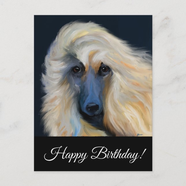 Afghan Hound Postkarte (Vorderseite)