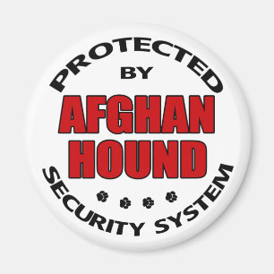 Afghan Hound-Sicherheit Magnet